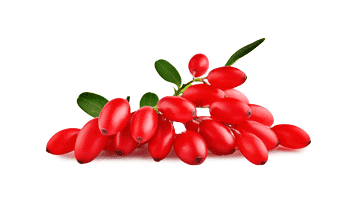 Rebersa ® (Berberine extract)