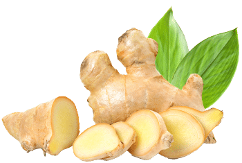 Ginger
