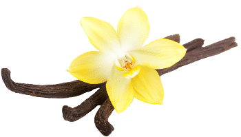 Vanilla & Coconut Powder