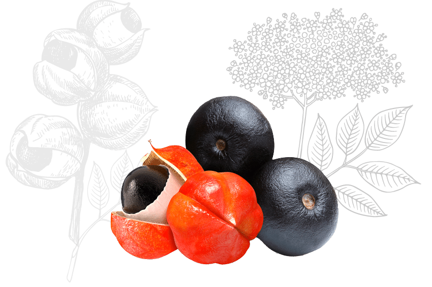 Product option image