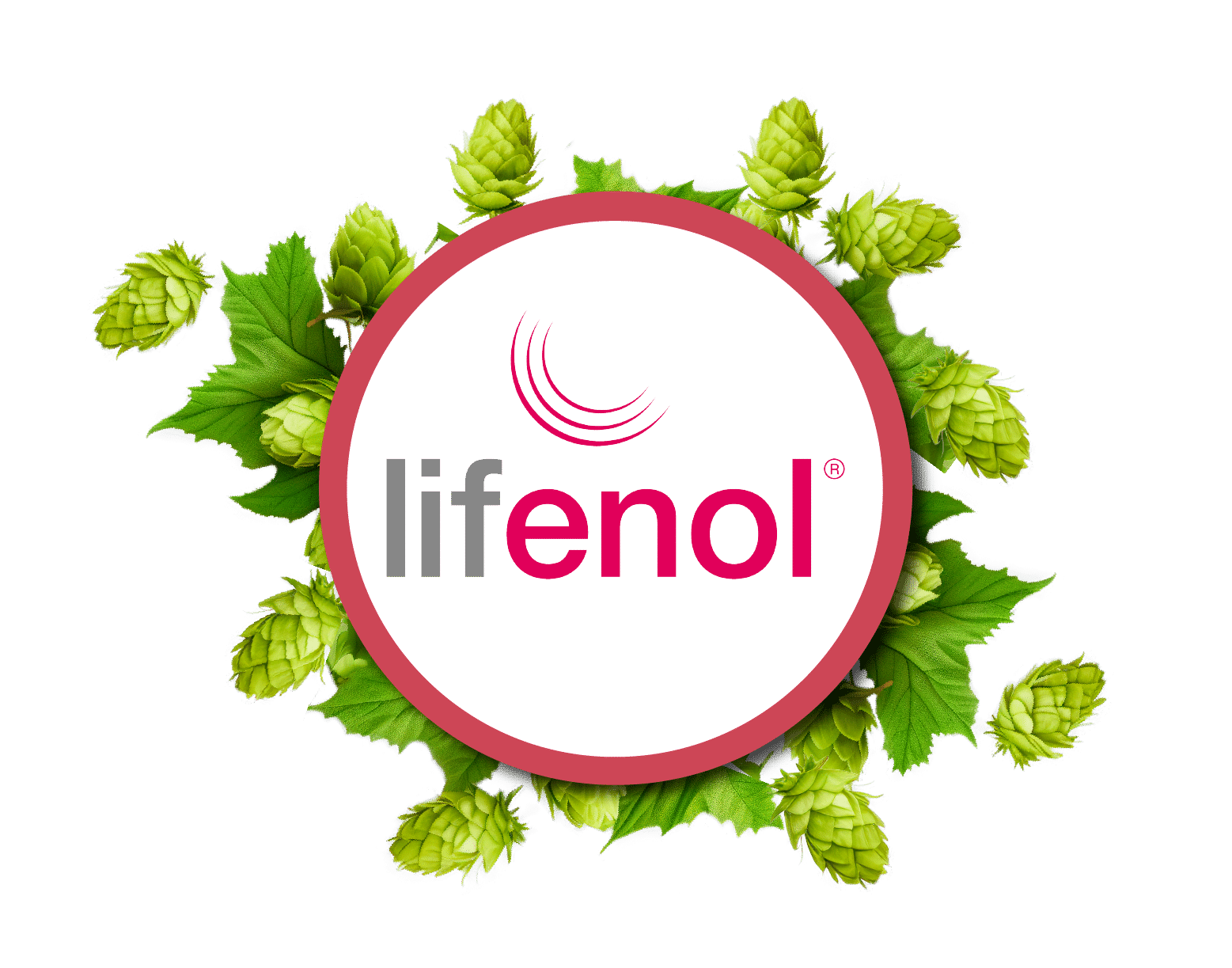 Product option image