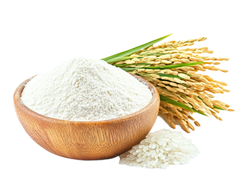Rice flour (Oryza sativa)